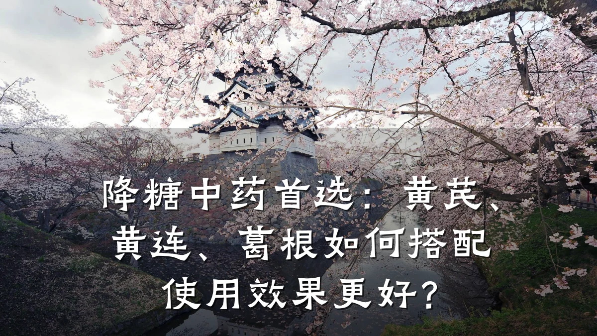 降糖中药首选:黄芪、黄连、葛根如何搭配使用效果更好?