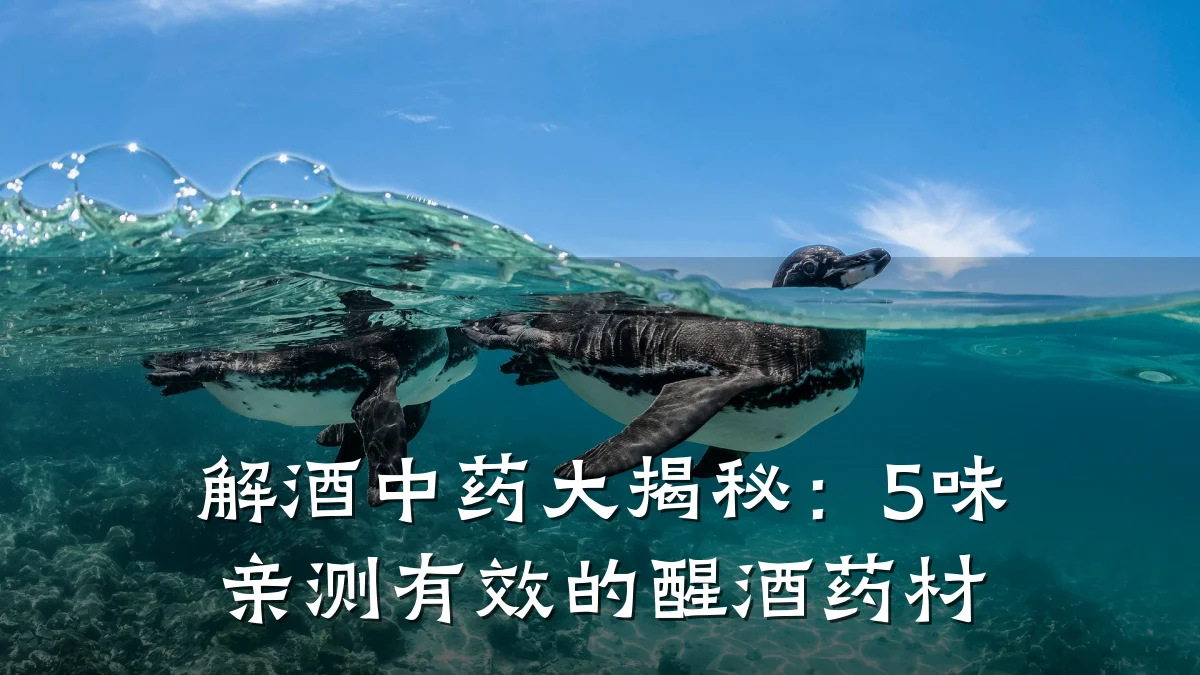 解酒中药大揭秘：5味亲测有效的醒酒药材
