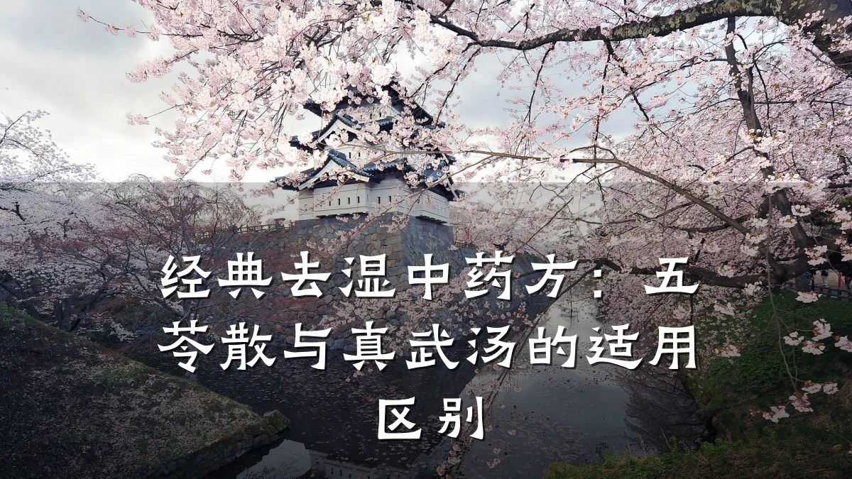 经典去湿中药方：五苓散与真武汤的适用区别