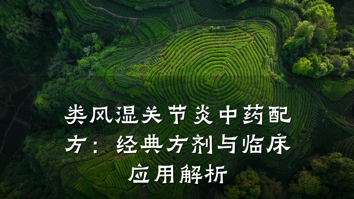 类风湿关节炎中药配方:经典方剂与临床应用解析