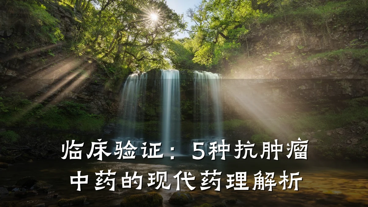 临床验证：5种抗肿瘤中药的现代药理解析