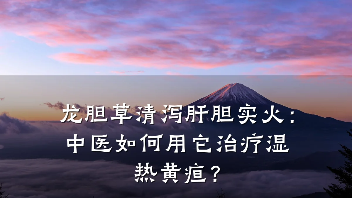 龙胆草清泻肝胆实火:中医如何用它治疗湿热黄疸?