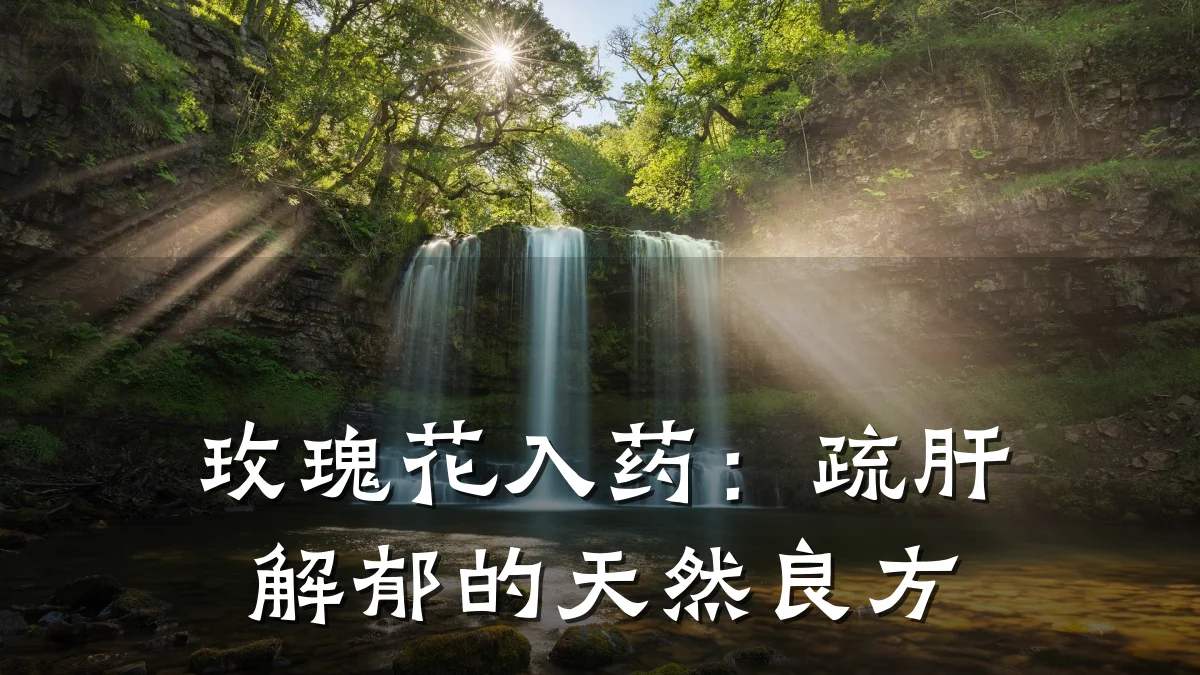 玫瑰花入药:疏肝解郁的天然良方