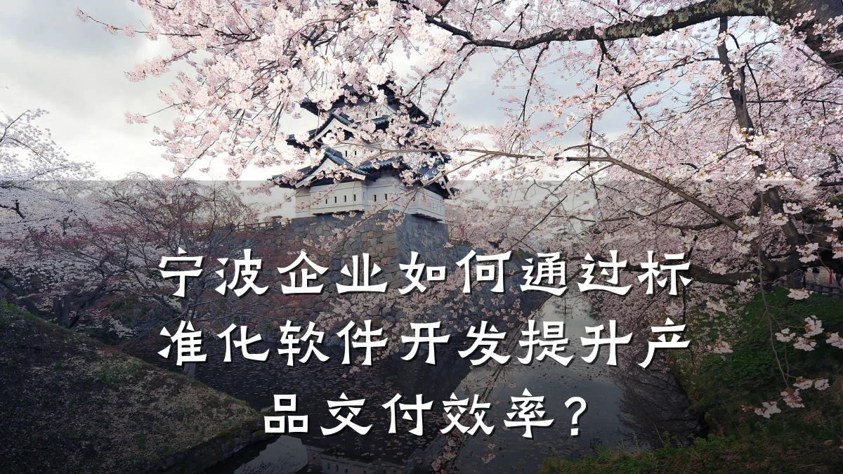 宁波企业如何通过标准化软件开发提升产品交付效率?