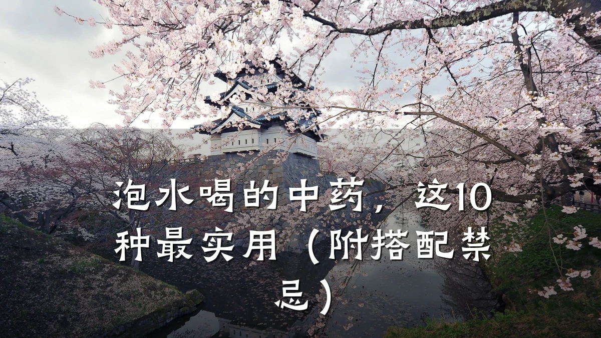 泡水喝的中药,这10种最实用(附搭配禁忌)