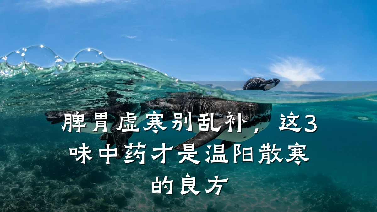 脾胃虚寒别乱补,这3味中药才是温阳散寒的良方