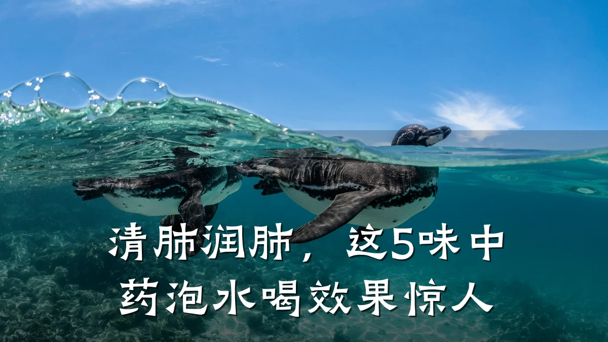 清肺润肺,这5味中药泡水喝效果惊人