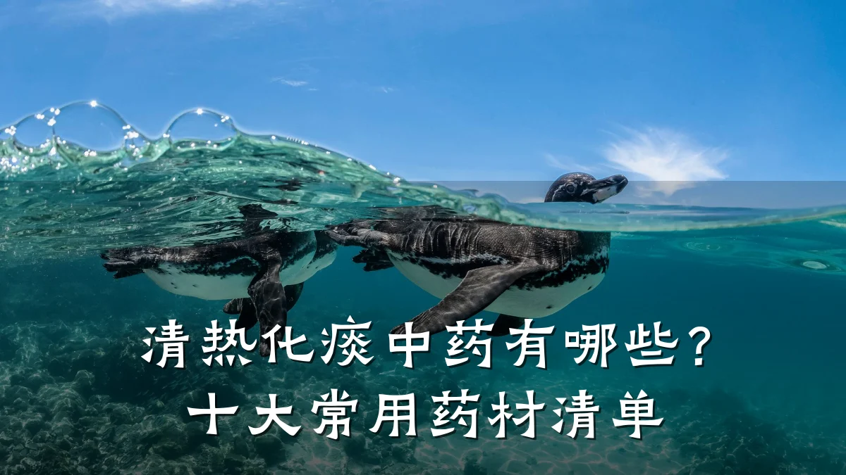 清热化痰中药有哪些?十大常用药材清单