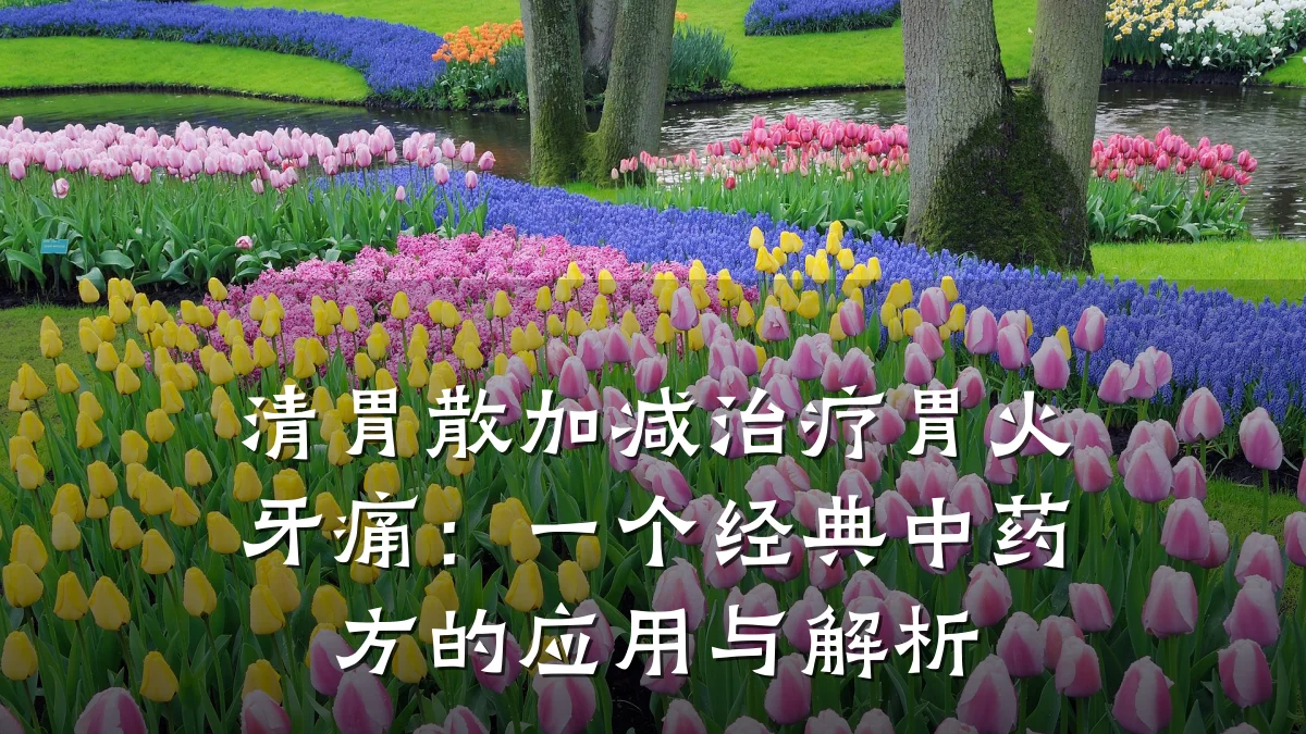 清胃散加减治疗胃火牙痛:一个经典中药方的应用与解析