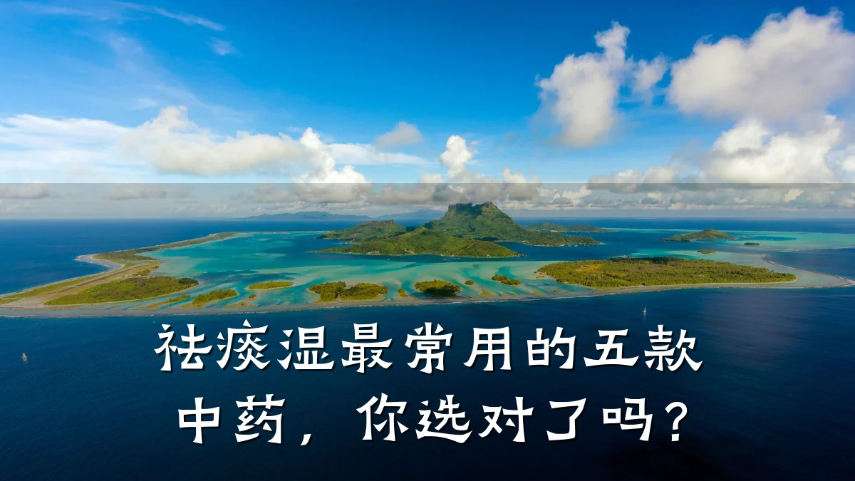 祛痰湿最常用的五款中药,你选对了吗?