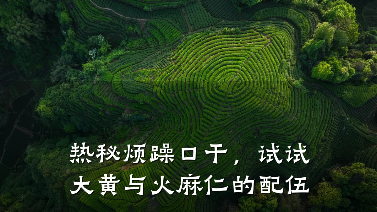 热秘烦躁口干，试试大黄与火麻仁的配伍