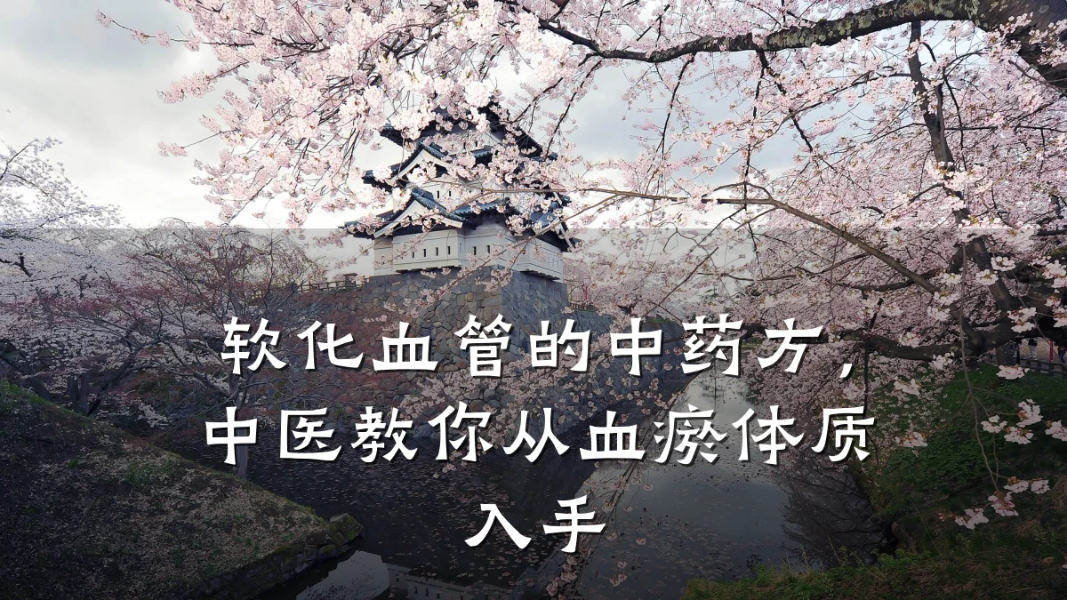 软化血管的中药方,中医教你从血瘀体质入手