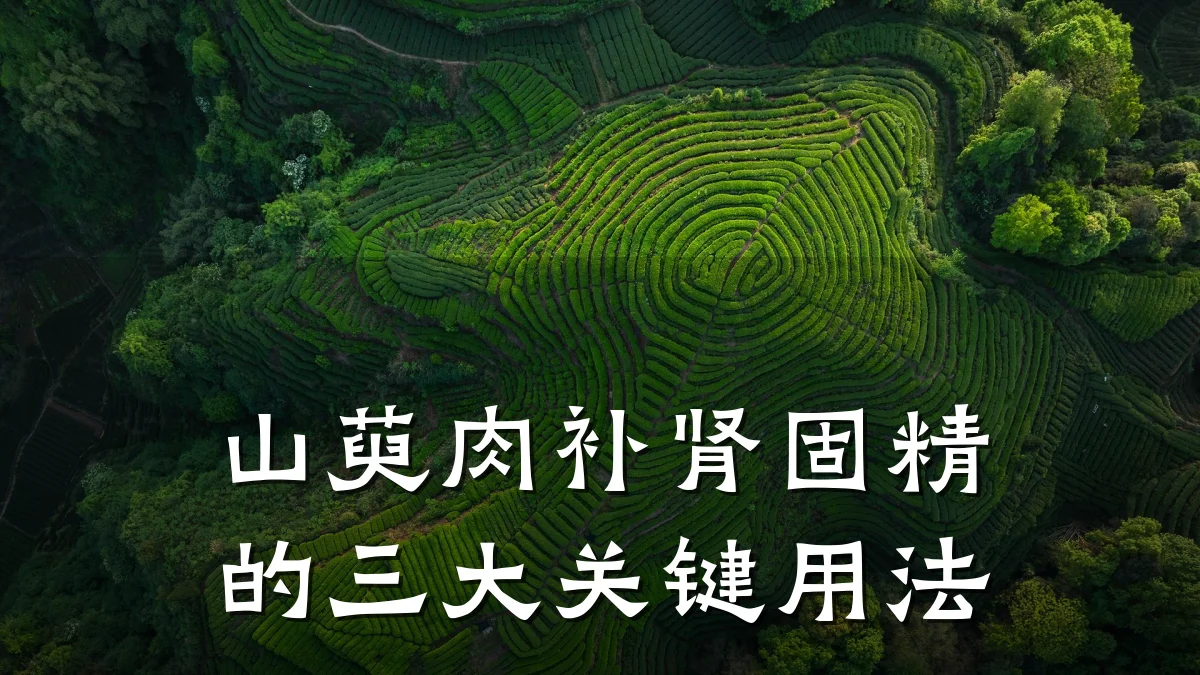 山萸肉补肾固精的三大关键用法