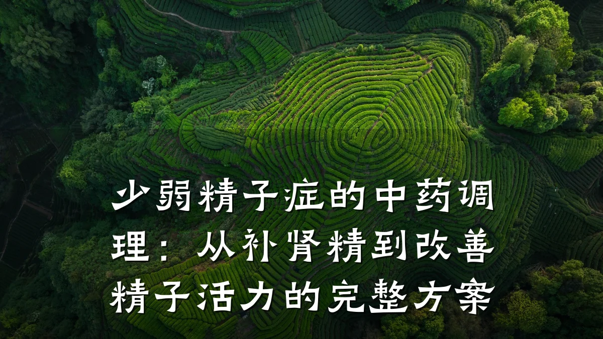 少弱精子症的中药调理：从补肾精到改善精子活力的完整方案