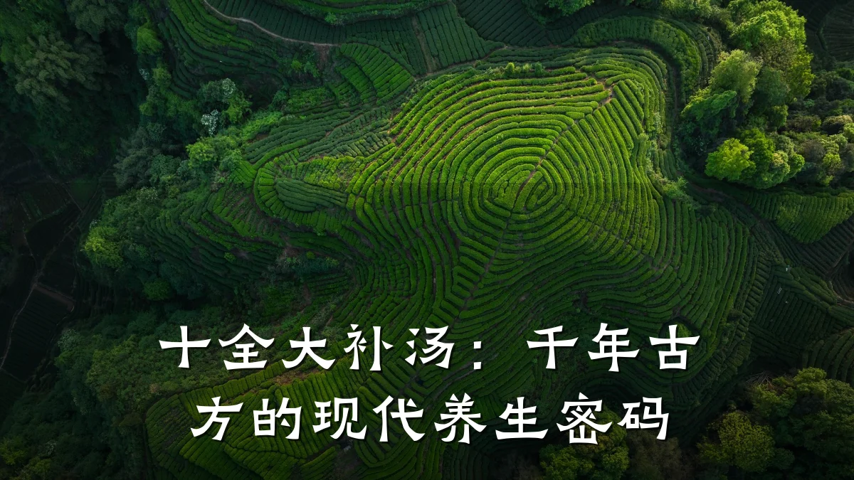 十全大补汤：千年古方的现代养生密码