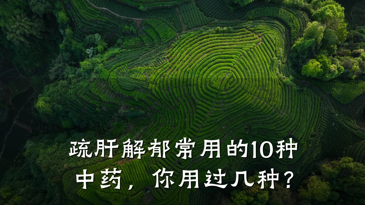 疏肝解郁常用的10种中药,你用过几种?