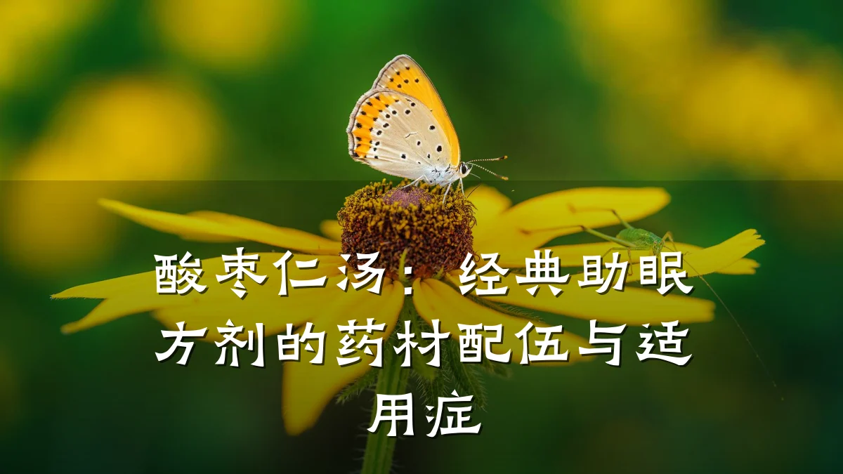 酸枣仁汤:经典助眠方剂的药材配伍与适用症