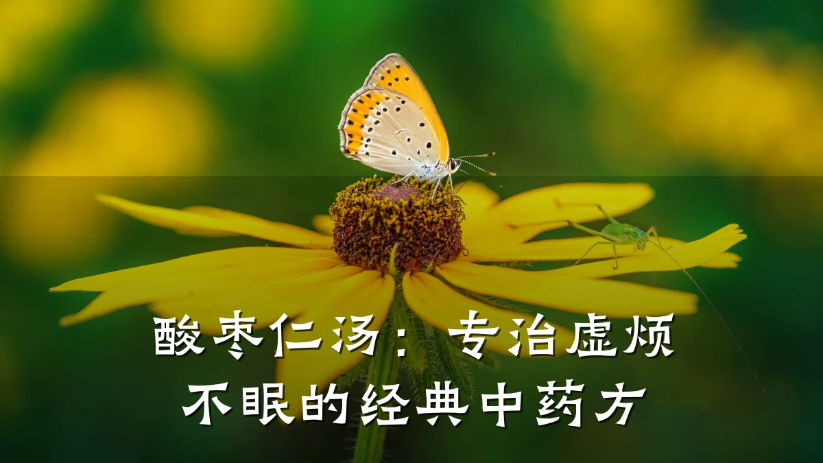 酸枣仁汤：专治虚烦不眠的经典中药方