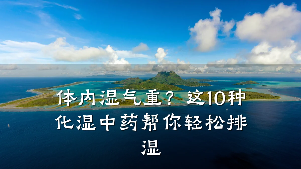体内湿气重？这10种化湿中药帮你轻松排湿
