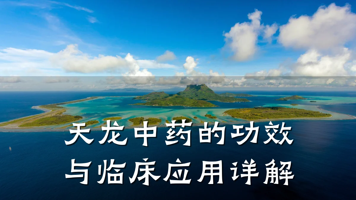 天龙中药的功效与临床应用详解