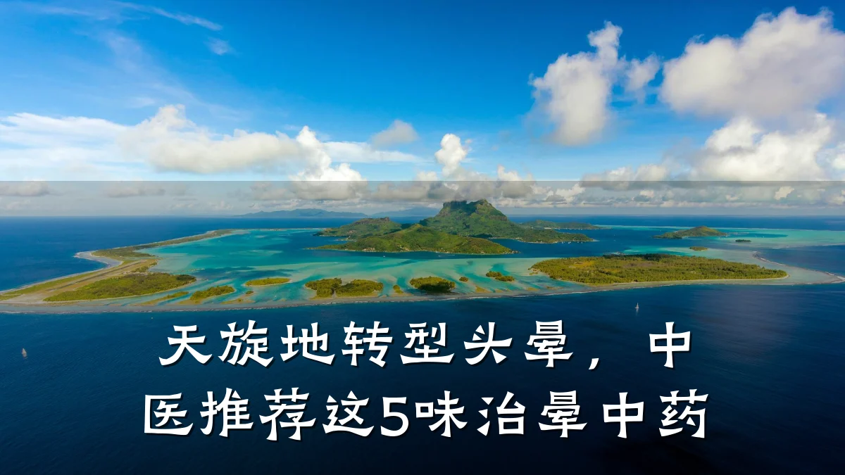 天旋地转型头晕,中医推荐这5味治晕中药