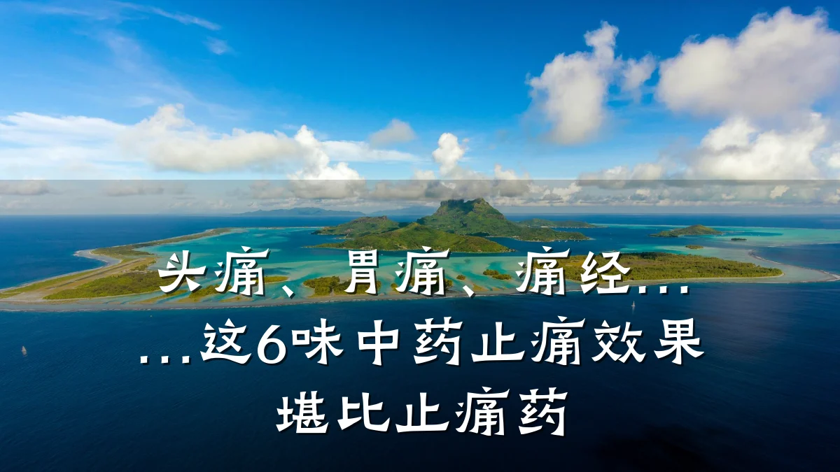 头痛、胃痛、痛经……这6味中药止痛效果堪比止痛药