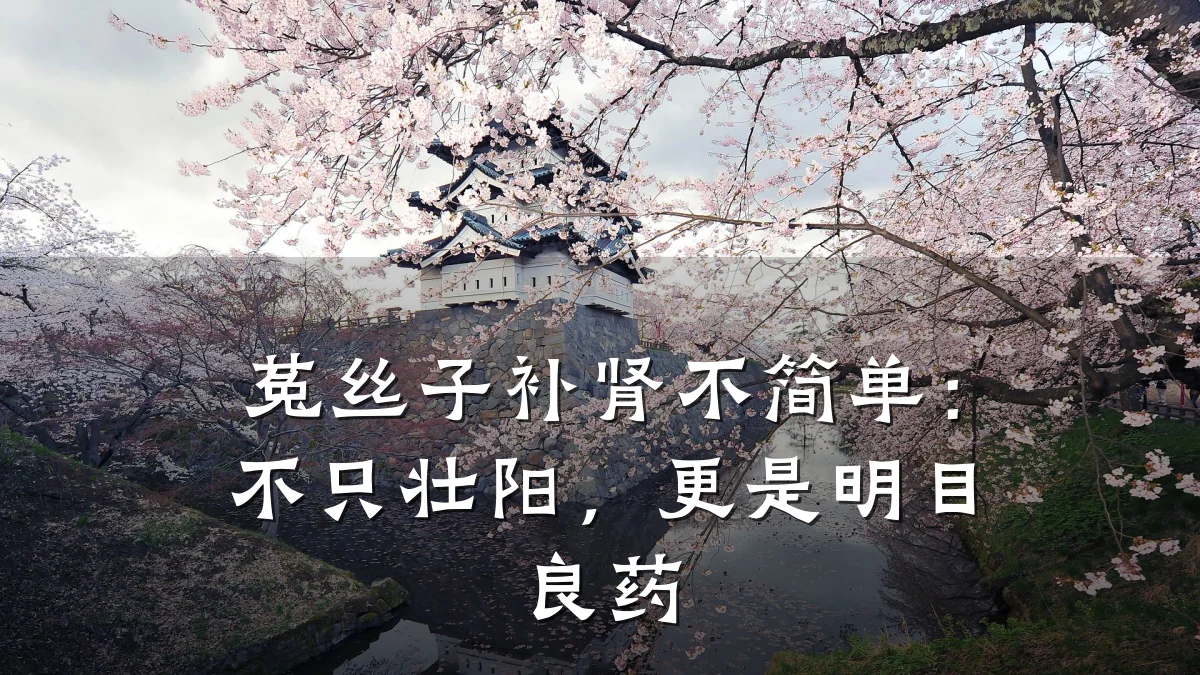 菟丝子补肾不简单:不只壮阳,更是明目良药
