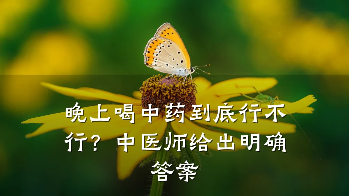 晚上喝中药到底行不行?中医师给出明确答案