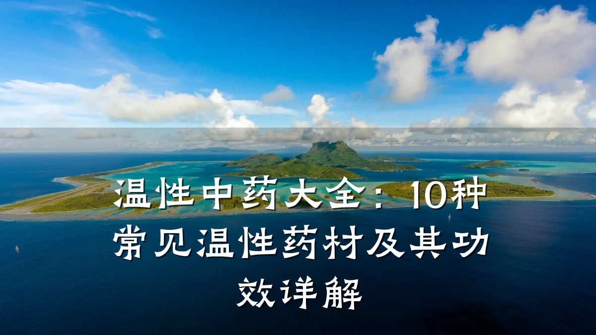 温性中药大全：10种常见温性药材及其功效详解