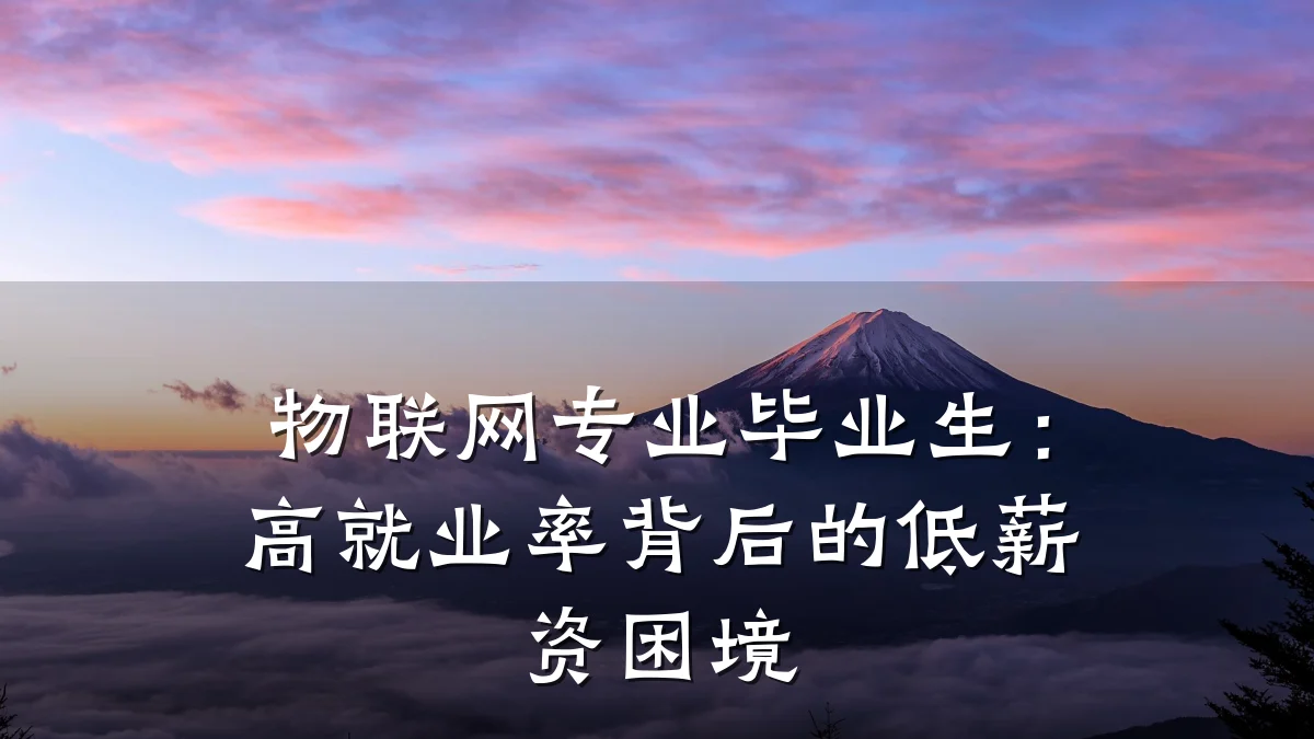 物联网专业毕业生:高就业率背后的低薪资困境