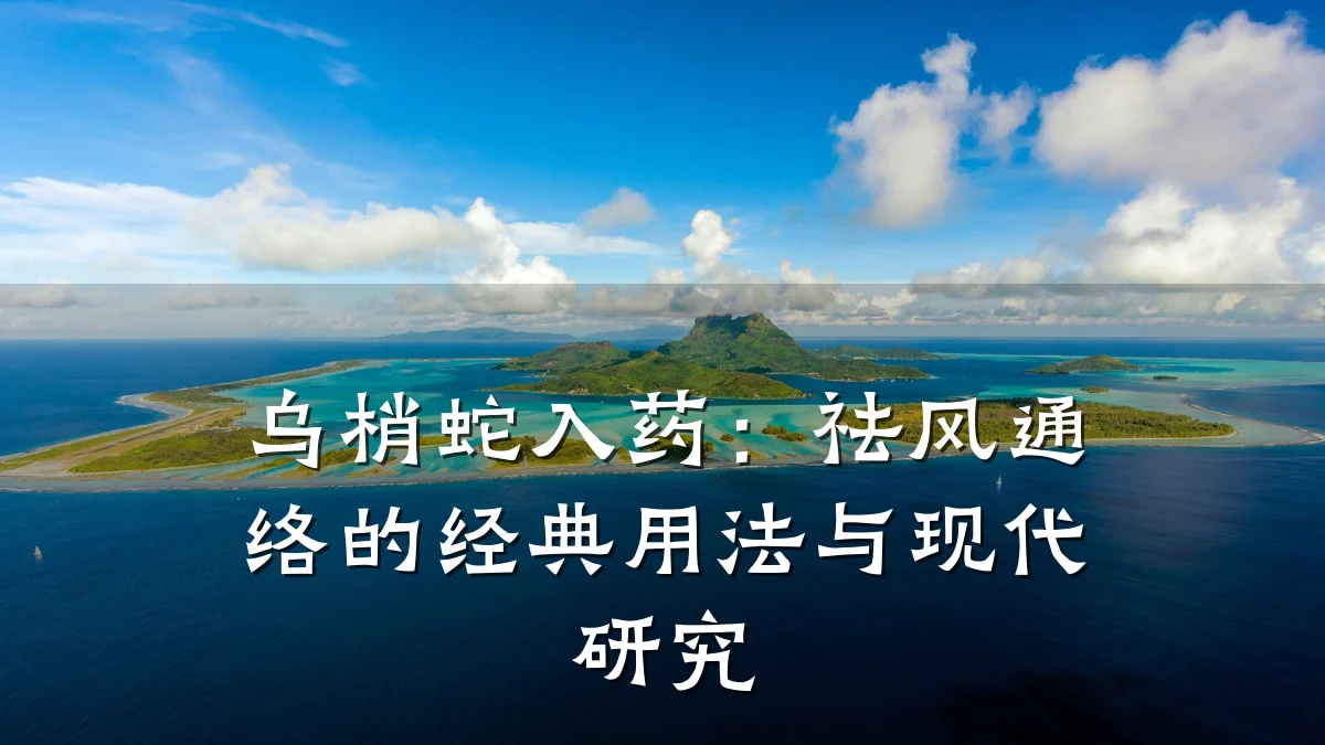乌梢蛇入药:祛风通络的经典用法与现代研究