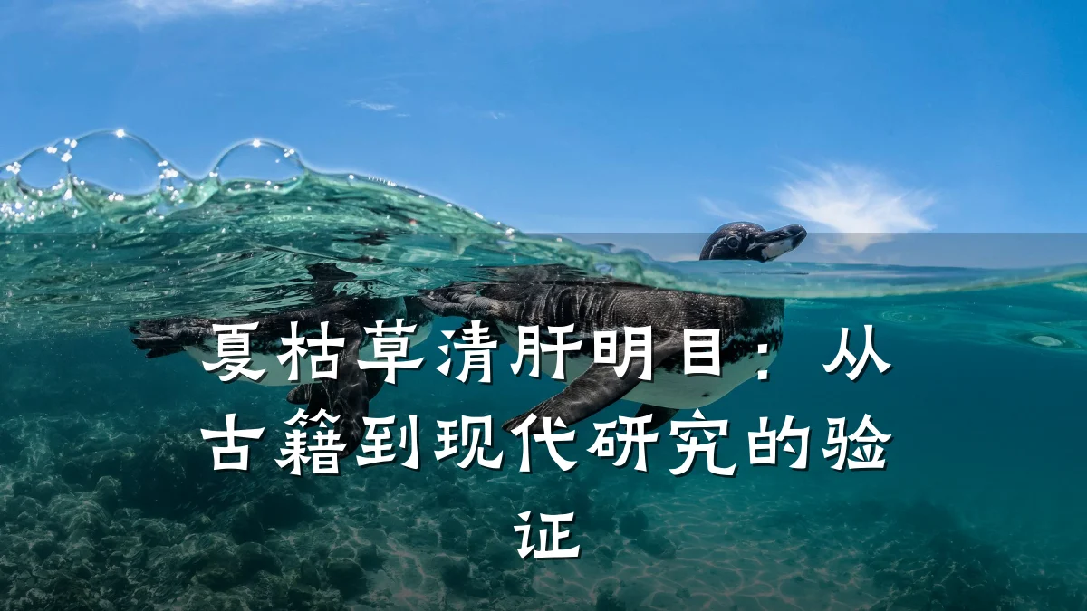 夏枯草清肝明目:从古籍到现代研究的验证