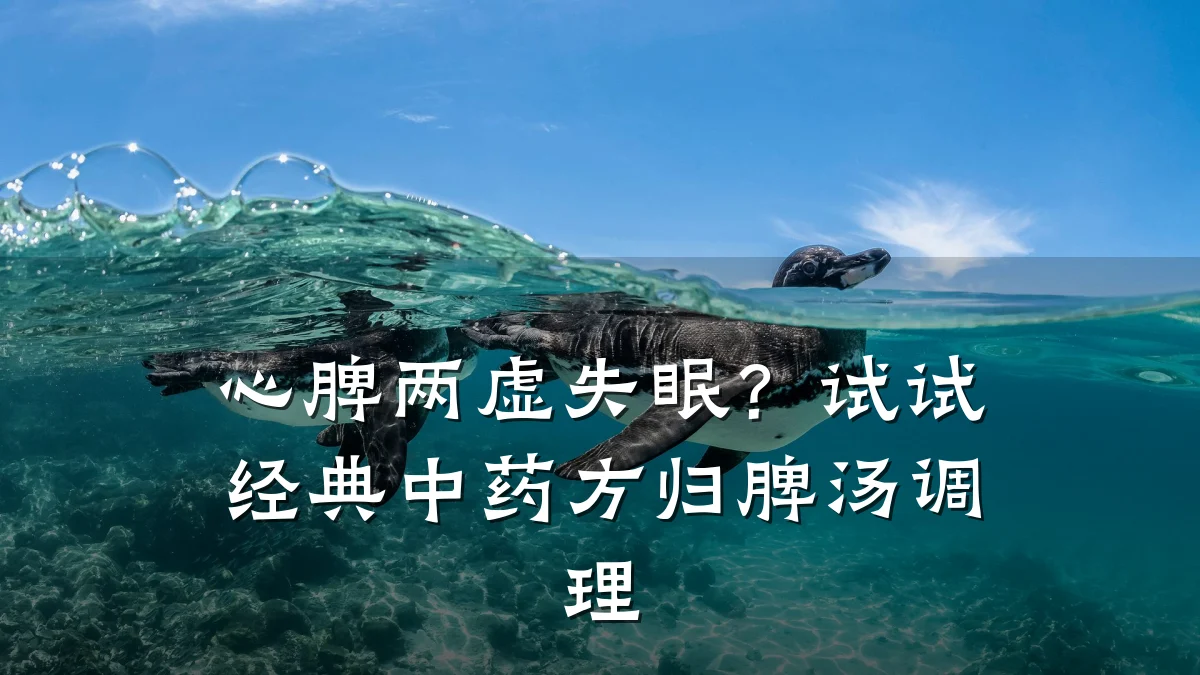 心脾两虚失眠?试试经典中药方归脾汤调理