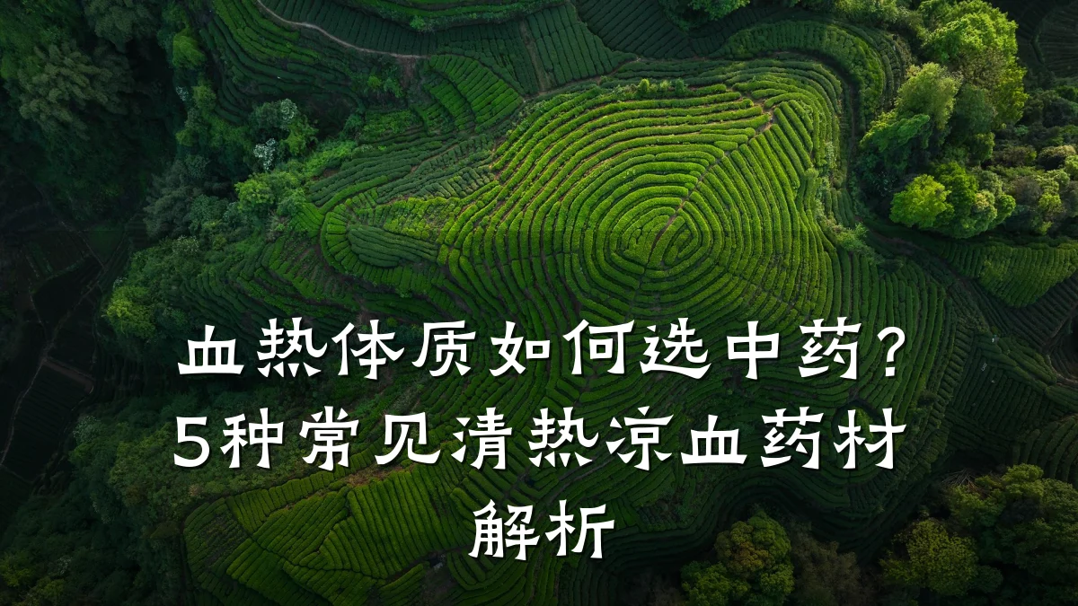 血热体质如何选中药？5种常见清热凉血药材解析