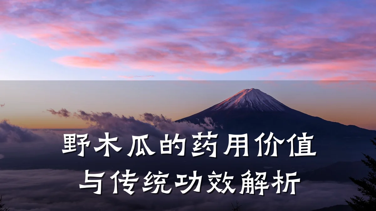 野木瓜的药用价值与传统功效解析