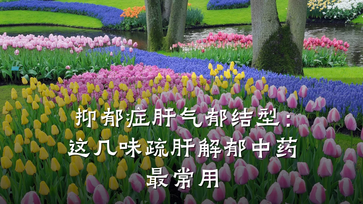 抑郁症肝气郁结型:这几味疏肝解郁中药最常用