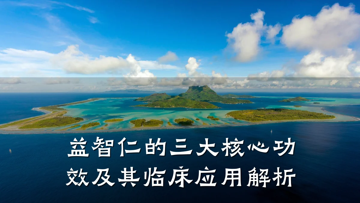 益智仁的三大核心功效及其临床应用解析