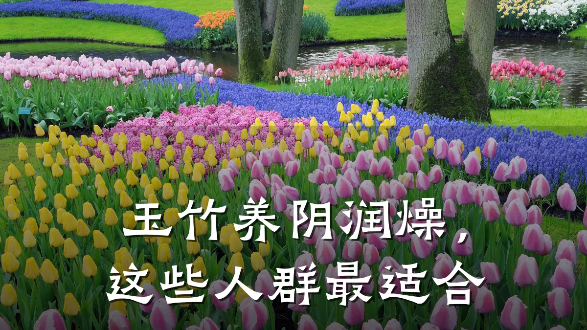 玉竹养阴润燥,这些人群最适合