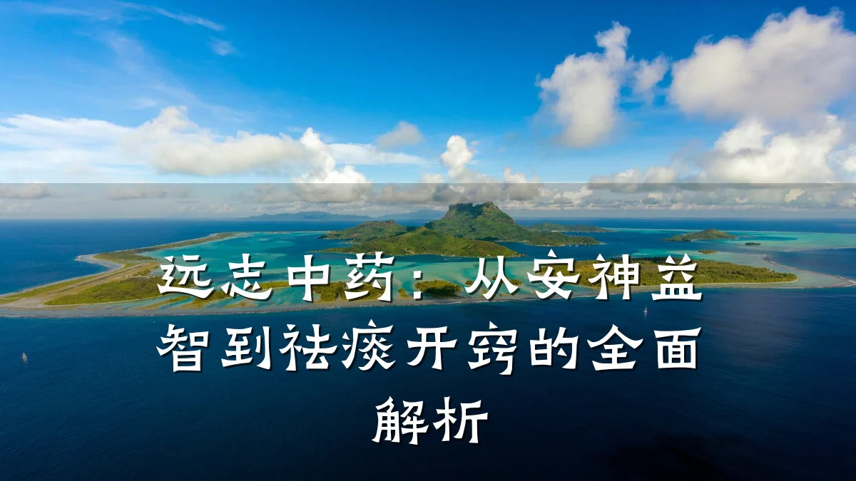 远志中药:从安神益智到祛痰开窍的全面解析