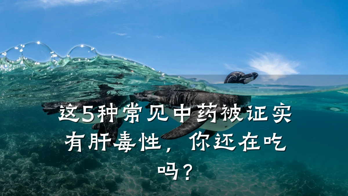 这5种常见中药被证实有肝毒性,你还在吃吗?