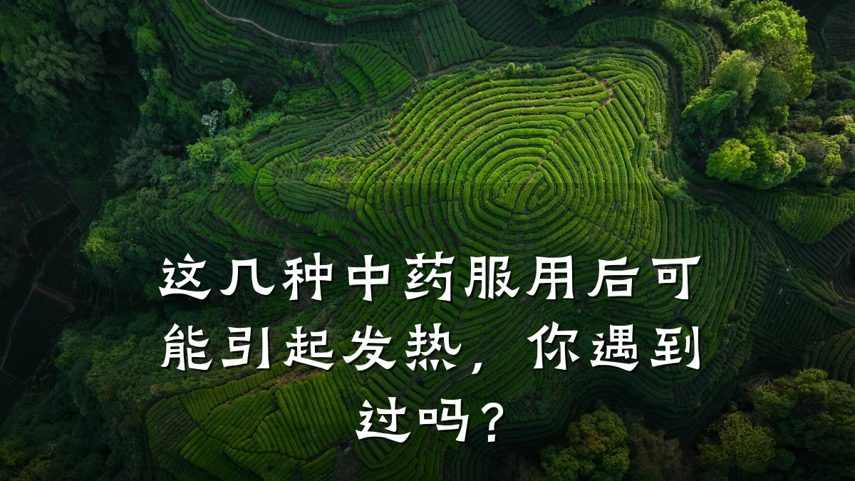 这几种中药服用后可能引起发热,你遇到过吗?