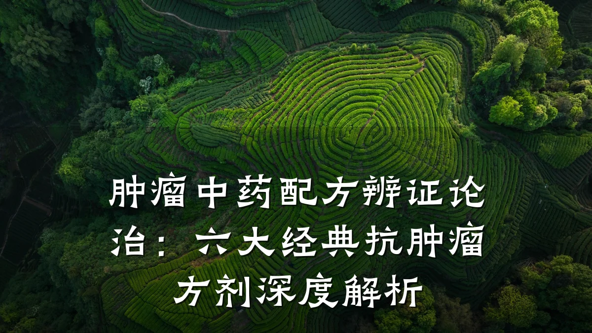 肿瘤中药配方辨证论治:六大经典抗肿瘤方剂深度解析