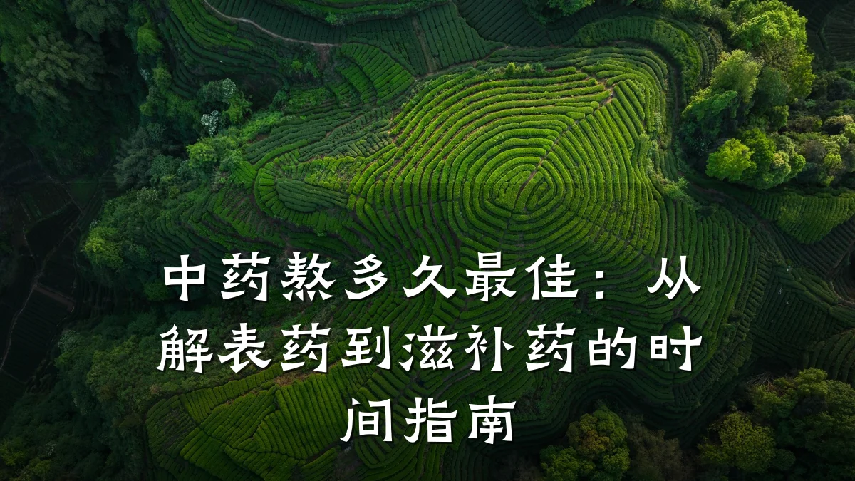 中药熬多久最佳:从解表药到滋补药的时间指南