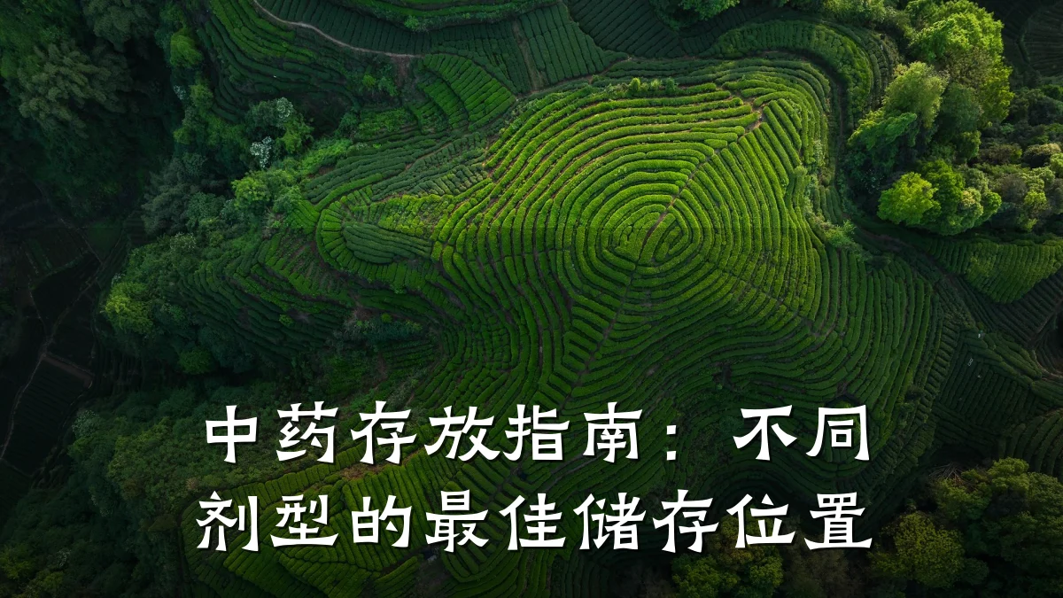 中药存放指南:不同剂型的最佳储存位置
