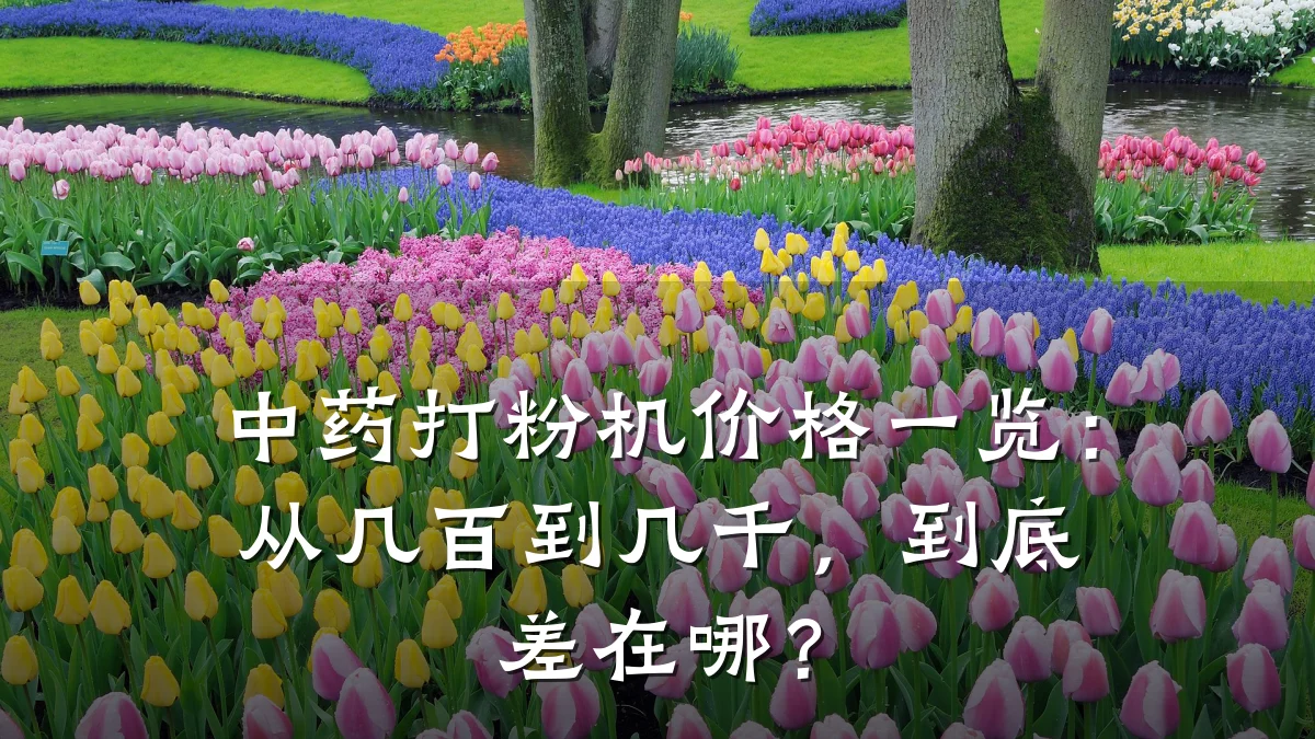 中药打粉机价格一览:从几百到几千,到底差在哪?