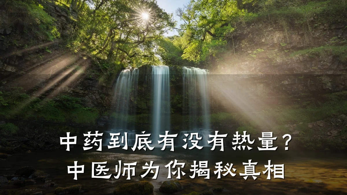 中药到底有没有热量?中医师为你揭秘真相