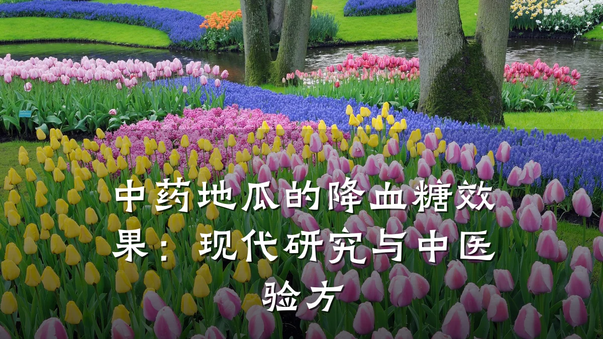 中药地瓜的降血糖效果:现代研究与中医验方
