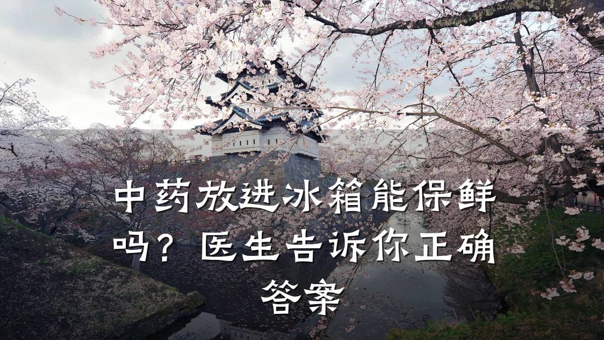 中药放进冰箱能保鲜吗?医生告诉你正确答案
