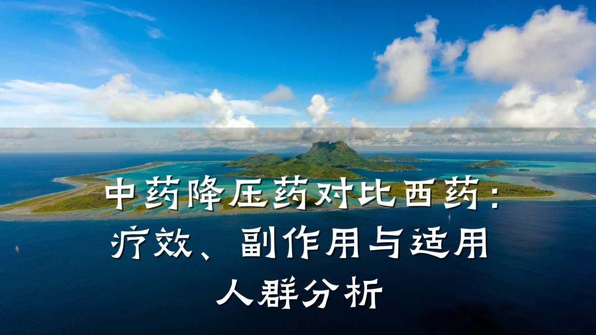 中药降压药对比西药:疗效、副作用与适用人群分析