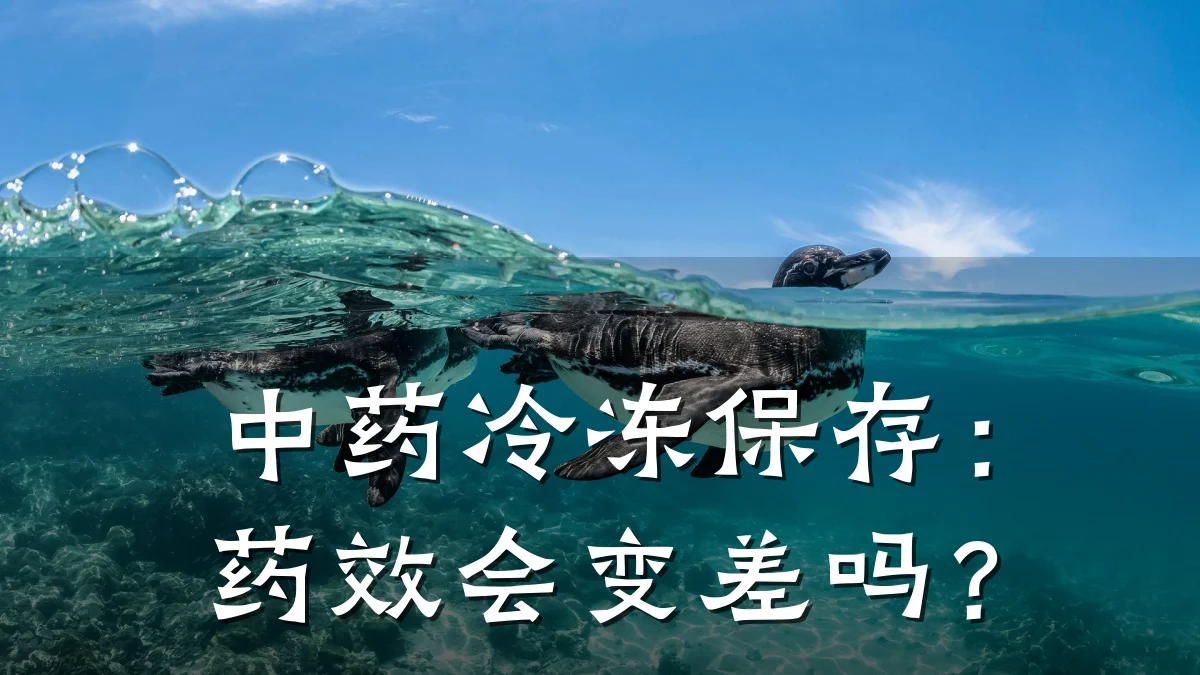中药冷冻保存:药效会变差吗?